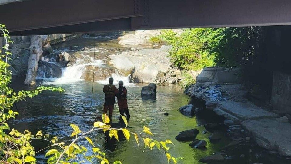 Local Service Adds Brattleboro Police investigate death after body found in brook, not ...