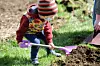 At local schools, food sprouts, even for remote students | Local News ...
