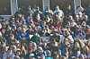 Fan plan: wear a mask and social distance | Sports | reformer.com