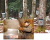'Sample the Sap' at Local Sugarhouses | Local News | reformer.com