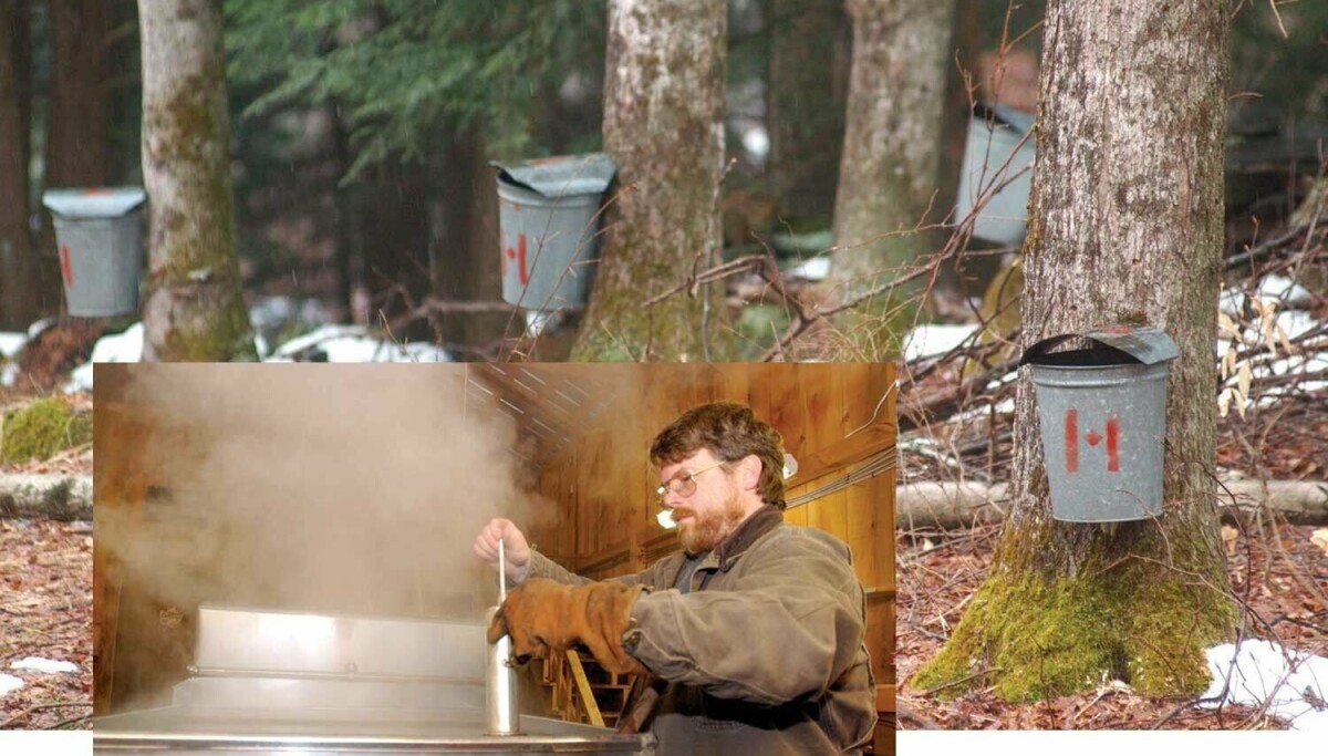 Sample Local Id 'Sample the Sap' at Local Sugarhouses | Local News | reformer.com