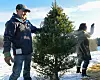 PHOTOS: Finding the right tree | Multimedia | reformer.com