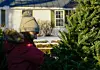 PHOTOS: Finding the right tree | Multimedia | reformer.com