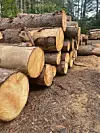 $1 Million in Working Lands ARPA-funded primary producer grant ...