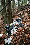 Green Up our county | Local News | reformer.com