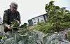 Putney opens Alice Holway Drive affordable apartment complex